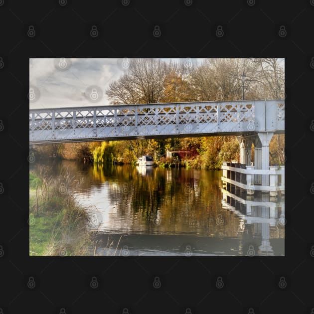 Through Whitchurch Toll Bridge by IanWL