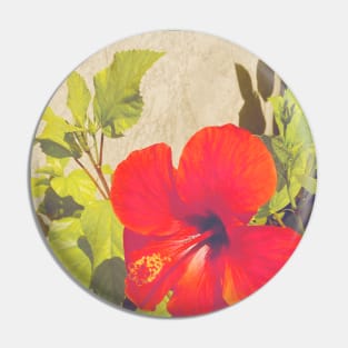 Pretty Red Flower with green leaves nature lovers beautiful photography design Pin