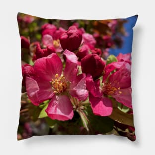 Utah Peace Garden Blossoms Pillow