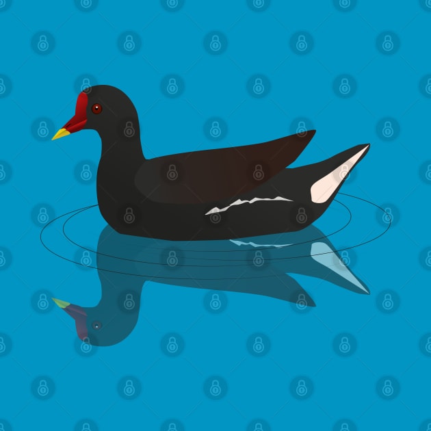 Common moorhen vector by Bwiselizzy