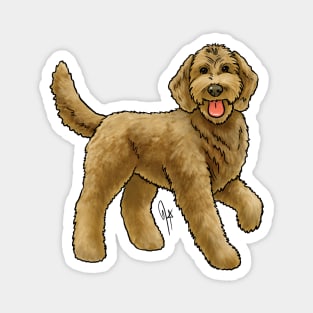 Dog -  Goldendoodle - Apricot Magnet