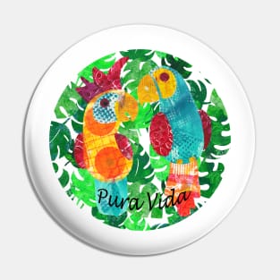 Pura vida - colorful parrot and cockatoo Pin