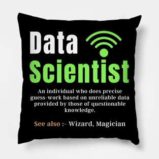 Data scientist gift Pillow