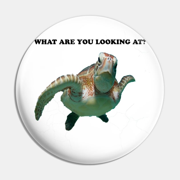 WHAT ARE YOU LOOKING AT? Pin by jcnenm