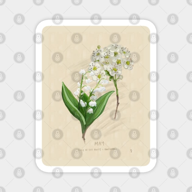 May Birth Flower Illustration Magnet by sydneybrookeart