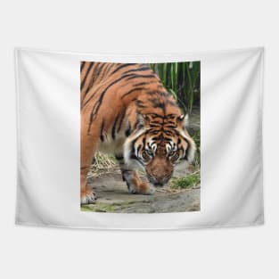 Sumatran Tiger Tapestry