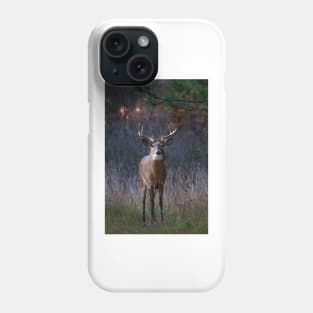 White-tailed deer Phone Case