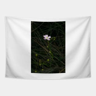 Delicate Sundew Tapestry