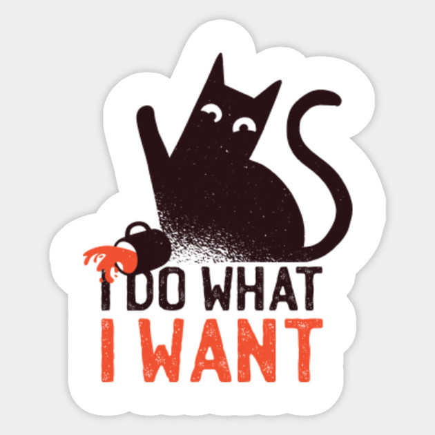 I Do What I Want Cat Funny Gift For Cat Lover I Do What I Want