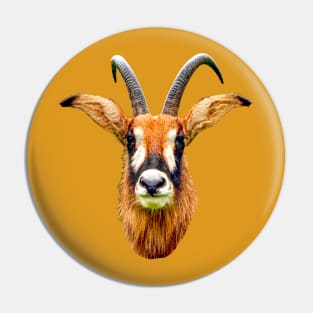 Roan Antilope Pin