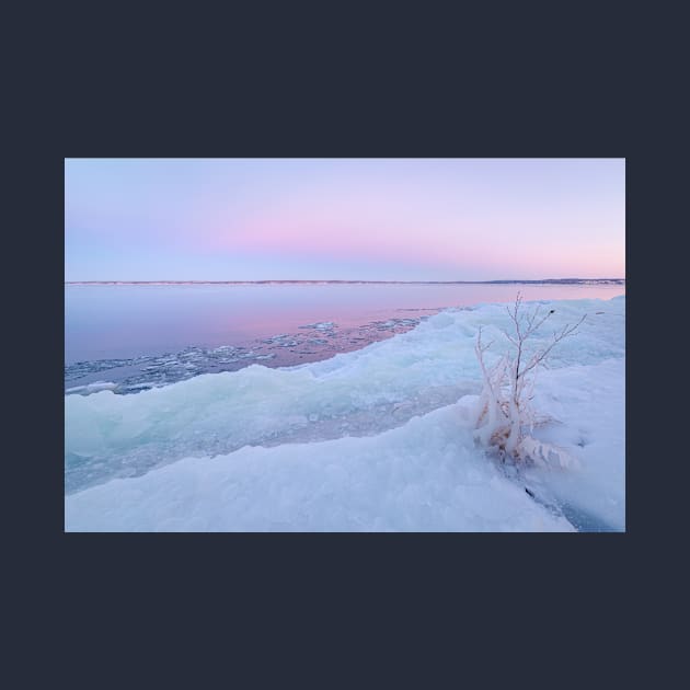 Lake shore scenery at dusk winter in Finland by Juhku