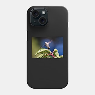 Hummingbird in flight Phone Case