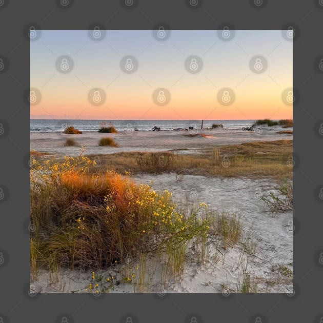 Autumn Sunset by Suncatcher Photos - Apparel - Home Decor