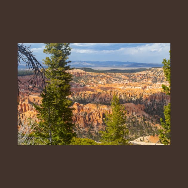 Bryce Canyon View 5 by Rob Johnson Photography