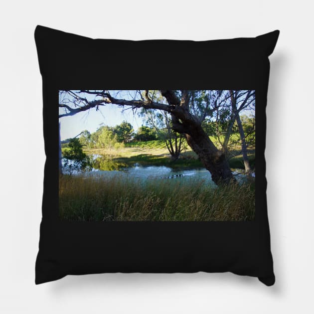 Vineyard View - Magpie Springs - Adelaide Hills Wine Region - Fleurieu Peninsula - Winery Pillow by MagpieSprings