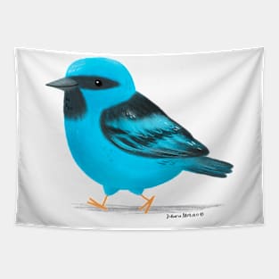 Blue Dacnis Bird Tapestry