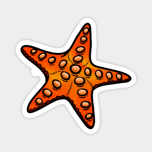 Starfish Magnet