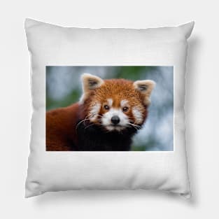 Red Panda Pillow