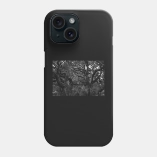 Old Tree in Black and White Phone Case