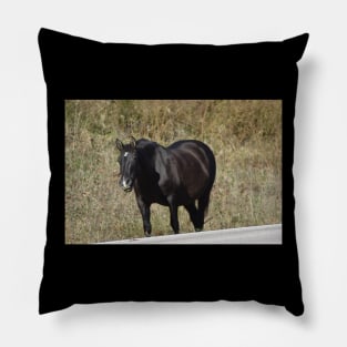 Wild Horse Pillow