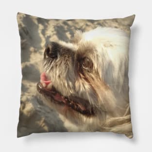 Beautiful photo of shih tzu dog on a beach while smiling Pillow