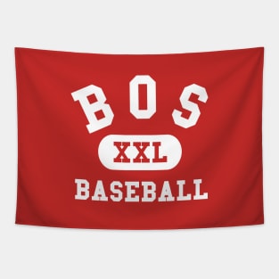 BOS Baseball III Tapestry