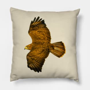 Buzzard in flight Pillow