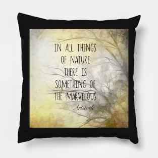 Nature Quote Aristotle Literary Quote Pillow