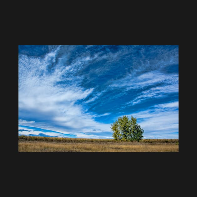 Blue Skies Sing Of Trees by nikongreg