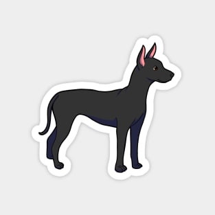 Xoloitzcuintli Magnet