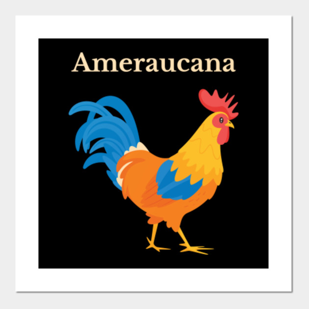 Ameraucana Chicken Ameraucana Posters And Art Prints