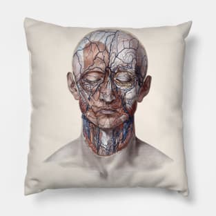 Vintage Human Anatomy, Head with Blood Vessels Pillow