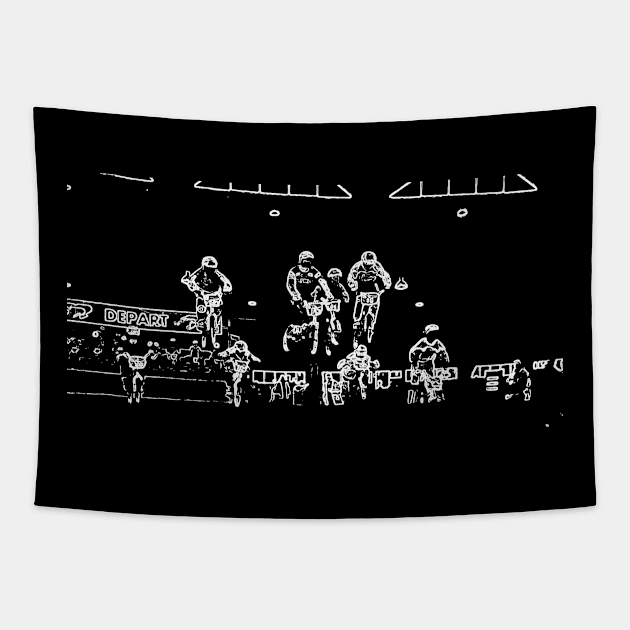 bmx racing Tapestry by rickylabellevie