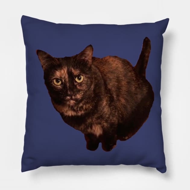 Tortitude Pillow by Amanda1775