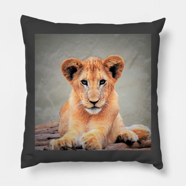 Lion Cub Pillow by Fitra Design