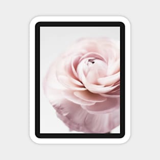 Flowers print, Pink, Pastel, Fashion print, Scandinavian art, Modern art, Wall art, Print, Minimalistic, Modern Magnet