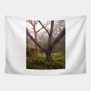 Trees in Mist Tapestry