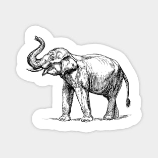 Sri Lanka Elephant Illustration Magnet