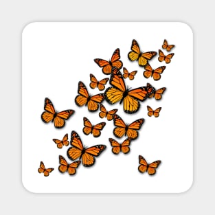 Monarch Migration Magnet