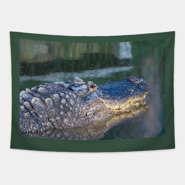 Alligator Headshot Tapestry by Debra Martz