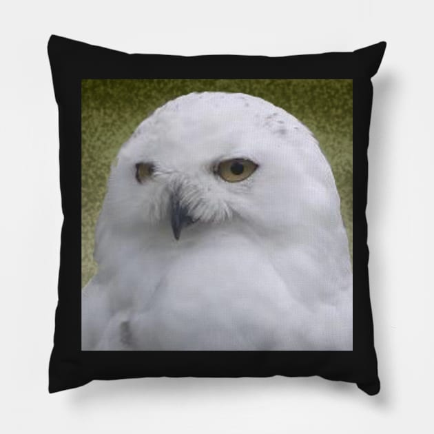 Snowy Owl sq Pillow by jalfc46