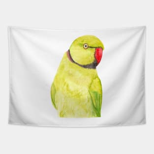 yellow Rose-ringed parakeet or ring-necked parrots watercolor - bird painting Tapestry