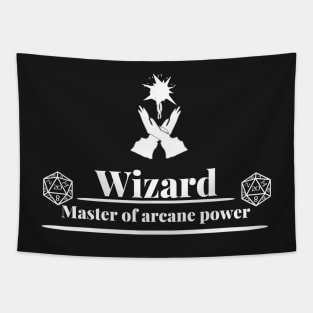 Wizard: Master of Arcane Power, #13 in a series of #13 Tapestry