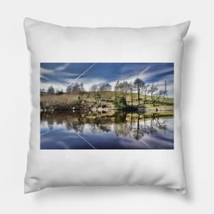 Healey Dell Pool Pillow