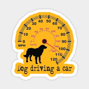 Dog Driving a Car Magnet