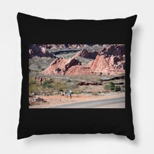 Argentine - Quebrada de las Conchas Pillow