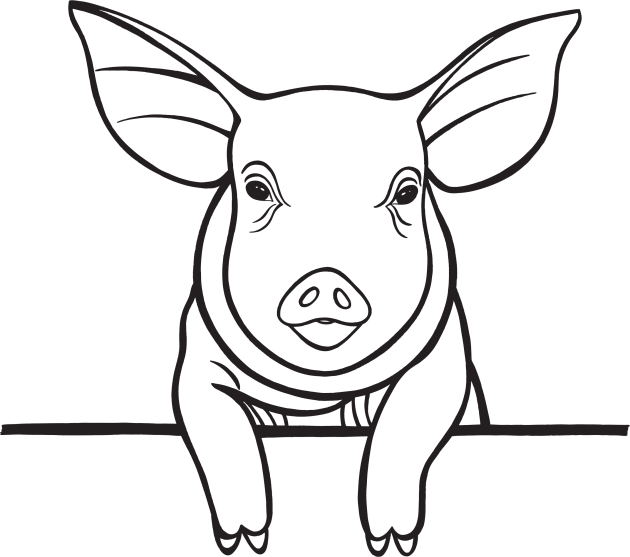 Piggy Drawing - hand drawn farm animal design Kids T-Shirt by Green Paladin