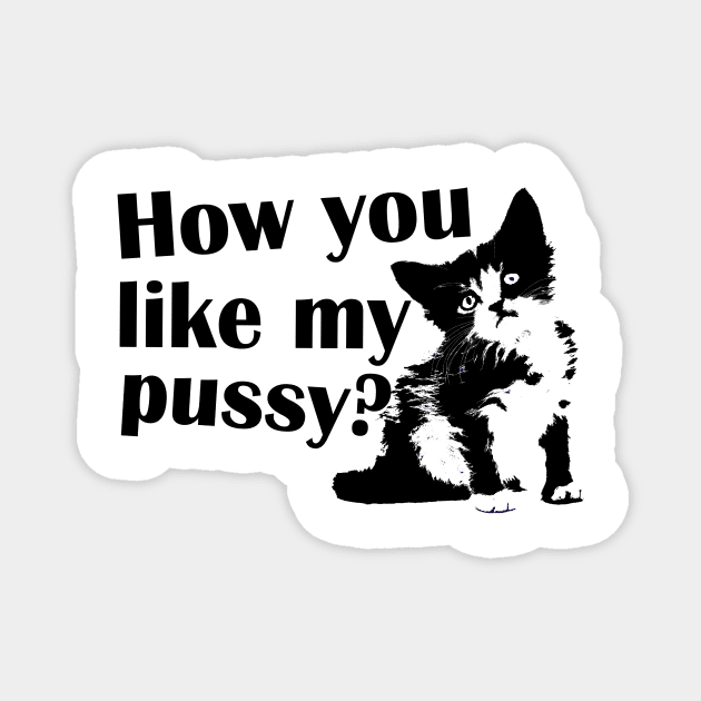 how You like my pussy Magnet by astaisaseller