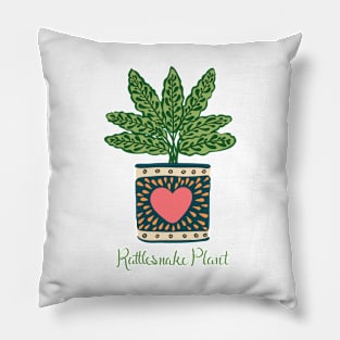 Rattlesnake Plant Pillow