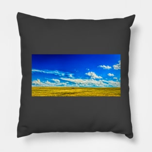 The Great Plains Pillow